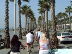 Bike Tours